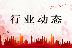 投标19次，中标17次！投标158次，中标0次！“标王”与“陪标专业户”都栽了